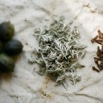Green black walnut hulls, dried wormwood and whole cloves laid out on pale linen