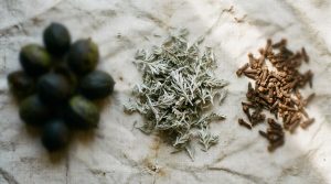 Green black walnut hulls, dried wormwood and whole cloves laid out on pale linen